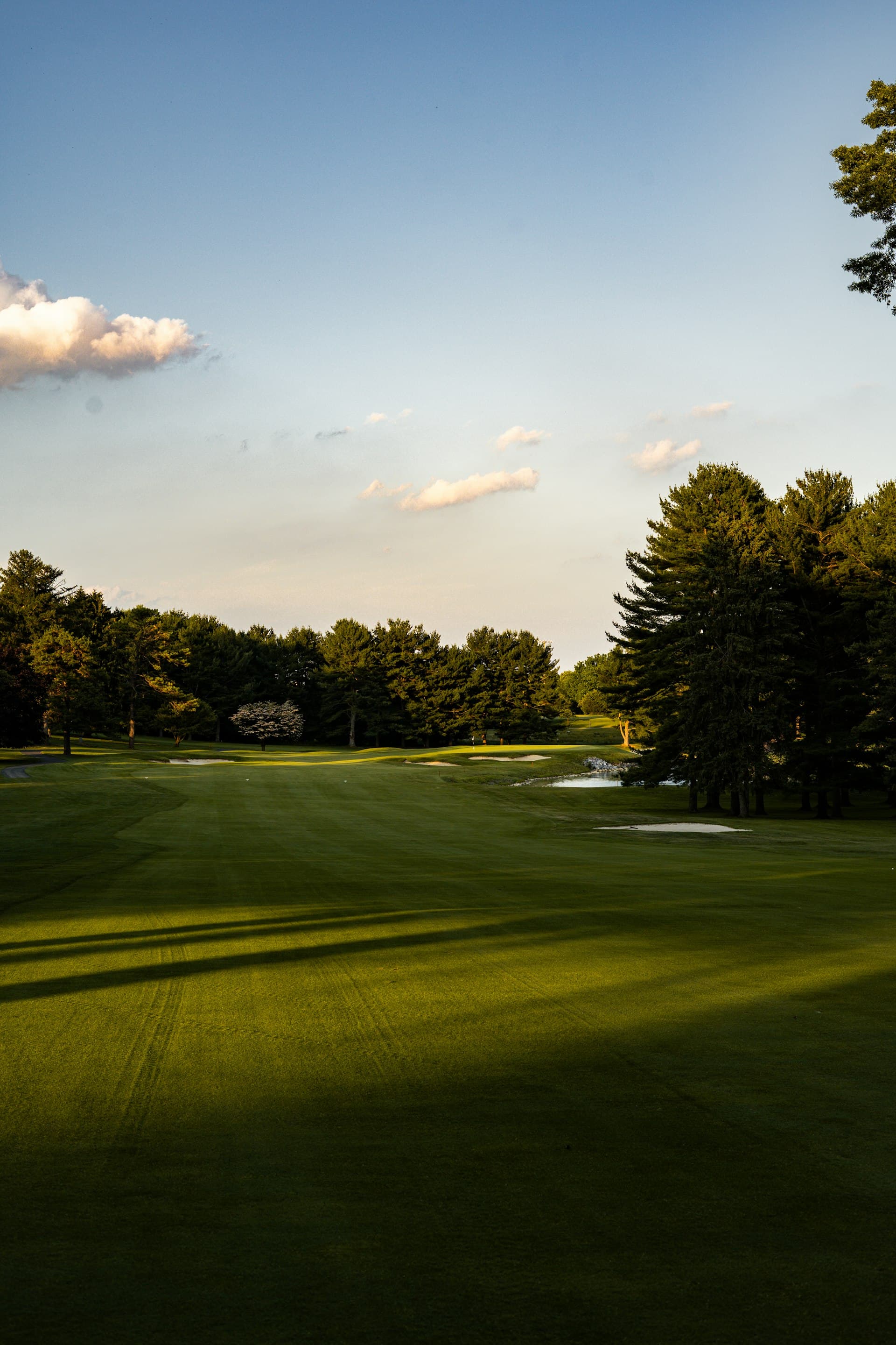 Green de golf al atardecer